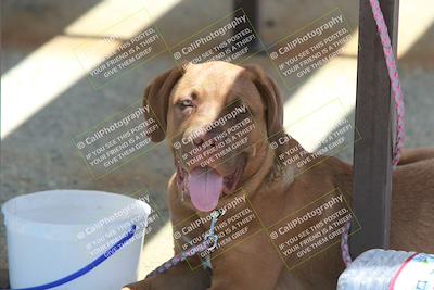 media/May-13-2023-Speed Ventures (Sat) [[03fd9661ba]]/Around the Pits/